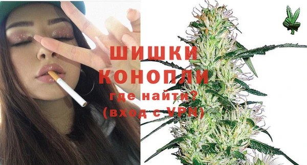 спиды Корсаков