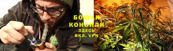 спиды Корсаков