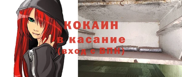 хмурый Щигры