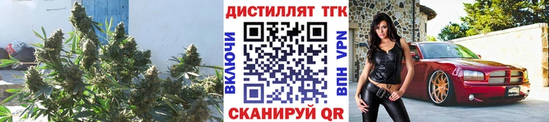 магазин  наркотиков  Мосальск  mega tor  Дистиллят ТГК гашишное масло 